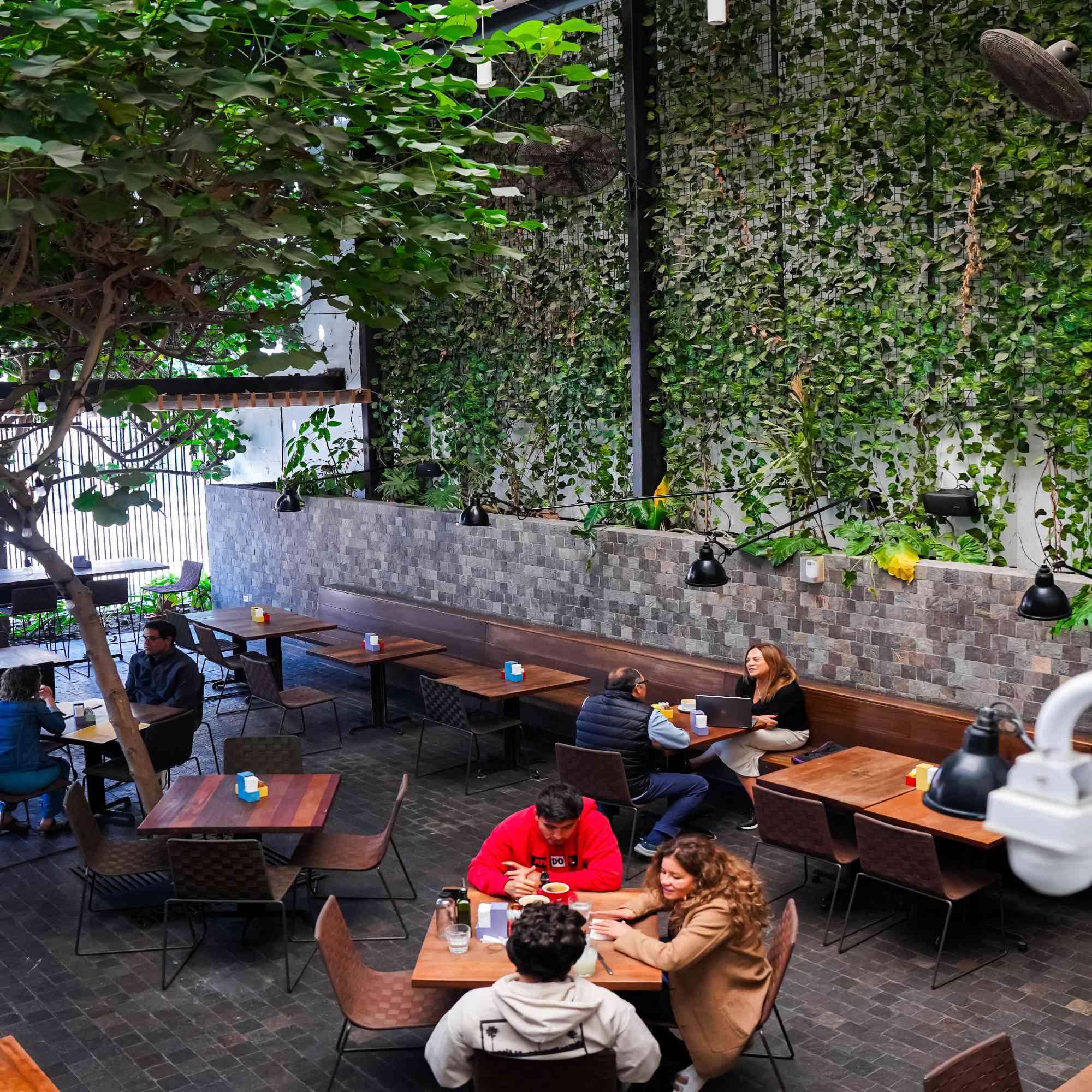 Terraza y jardín Café de Lima